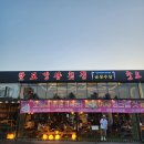강릉횟집 경포 팔도강산 후기, 맛있고 신선한 모둠회와 시원한 해물 칼국수