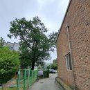 벌말 도당굿 및 도당 이미지