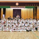 금빛스타태권도 이미지