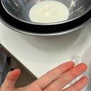 해동일터 | 감딸기가 될거야