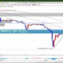 천일양봉 이미지