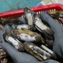 힐링인더삽교 이미지