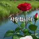 157 이미지