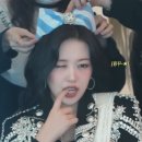 포포