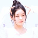 미모고양이 이미지