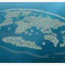 팜 (palm) 이미지