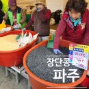 축제 | 2025 파주 장단콩 축제 후기