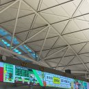 558 | 아시아나 이집트 카이로 직항 OZ 557 OZ 558 이코노미 스마티움 비즈니스 라운지 후기✈️