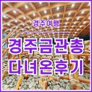 애터미 경주실크로드센터 | [경주여행] 외관과 내부가 멋드러진 경주 금관총 다녀온 후기!