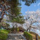 경포대주차장 이미지