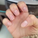네이어드(Nayered)
