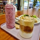 노루유치원 | 파주애견카페 파주 출판단치 근처 몽슈포레 솔직후기