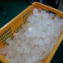 백년국수 이미지