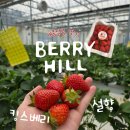 더 프리미엄 농장 | 당진 아이와 가볼만한곳! 베리힐 딸기 농장 체험 후기
