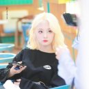 나경 이미지