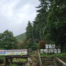 중궁원리 마을회관 | 부산 기장 등산｜옥정사 출발, 오션뷰 명산 달음산 후기