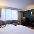 글래드골프 이미지