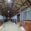 프리미어아레나승마클럽 이미지