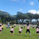 삼성초병설유치원 이미지