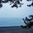 푸른바다 이미지