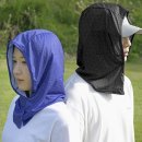 4268 이미지