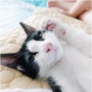 슈퍼드링크 - 남양주시 경춘로1286번안길 19-6 | 슈퍼드링크