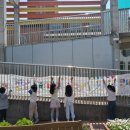 진남유치원 이미지