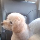 어서타개 이미지