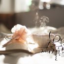 글씨여행 캘리그라피 이미지