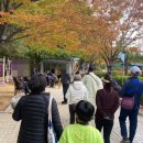 못골골목시장 이미지