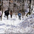 눈꽃여행 이미지