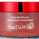 카멜리아플라워 이미지