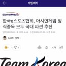 한국e스포츠협회, 아시안게임 정식종목 모두 국대 파견 이미지