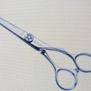 우리들원예사 이미지