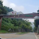 안성 서운산 자연휴양림 오토 캠핑장 야영장 데크 후기(1캠핑장 1번)