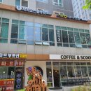 제피로스플라워 | 마포구청역 꽃집 제피로스플라워 강추 - 미니꽃다발 후기