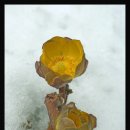 하대동369 이미지