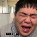 봄꽃이 시샘하는