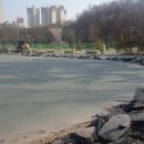 인라인경기장 Daum카페