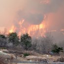 의성 산불, 동쪽으로 번지고 있다…&#39;안동&#39; 확산에 1080명 대피 이미지