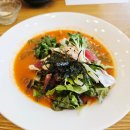 대전 둔산동 초밥맛집 바른초밥 점심특선세트 물회 추천