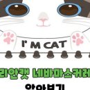 수원고양이전문분양아임캣