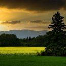 생명의 분출 이미지