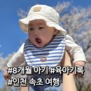 커피먹인닭용추파크 | 8개월 아기 육아기록, 인천속초여행, 후기이유식 팁