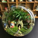 미니정원(테라리움) 이미지