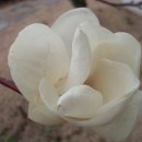 월산초등학교 운동장 이미지