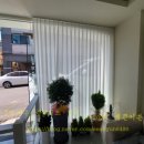 또또시 그루밍 이미지