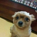 아는지인 이미지