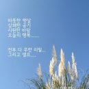 바람이분다 네이버블로그