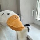 오리한마리 이미지